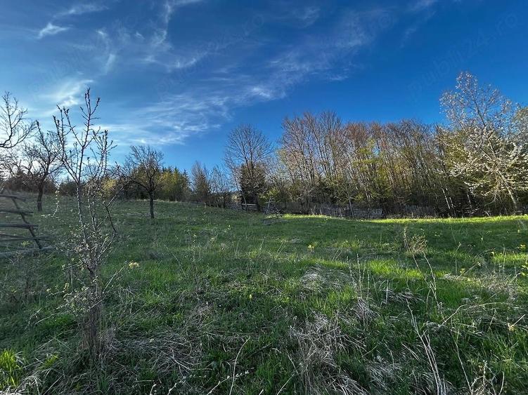 Teren de 2500 mp, în Trăisteni