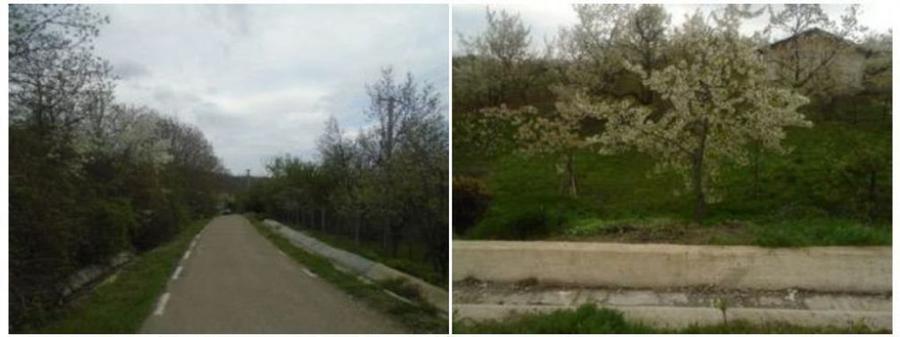 Teren extravilan livada cota parte 1/2 Candesti ID: R1965236 - 8