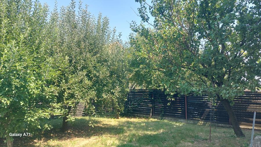 Casă individuală cu 10 camere cu Canalizare în Grădiștea