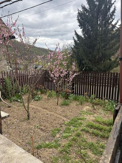 Casă cu 2 camere în Ferneziu