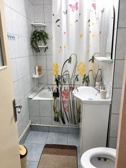 Apartament cu 2 camere semidecomandat, mobilat în Banat