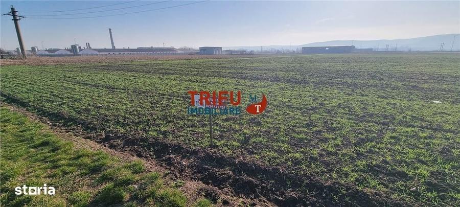 Spațiu comercial, în Sântimbru