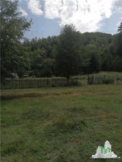 Teren Construcții intravilan de 2324 mp, în Berevoești