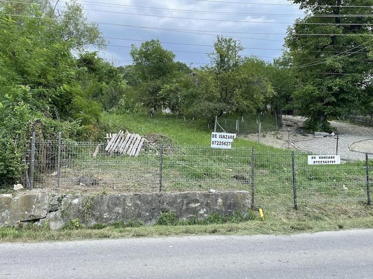 Teren de 4160 mp, în Provița de Sus
