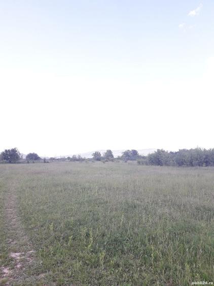 Teren de 2557 mp, în Iazu