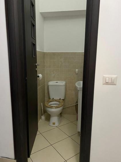 Inchiriere Apartament 4 camere Gorjului-Lujerului - 17