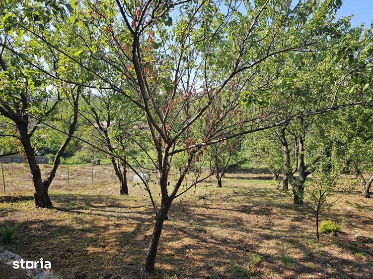 Teren de 1600 mp, în Nicolina