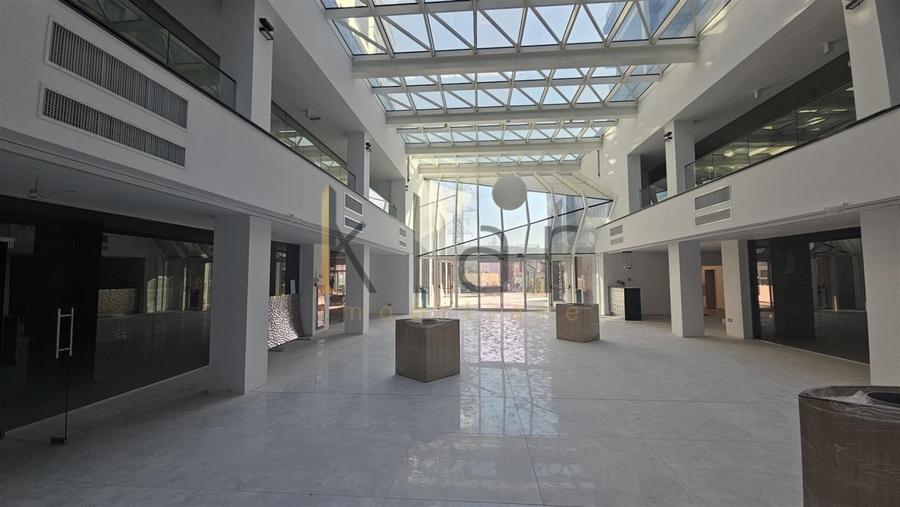 Spațiu comercial, de 131.75999450684 mp, în Sopor
