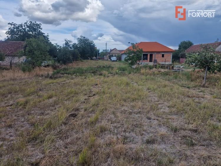 Teren Construcții intravilan de 1493 mp, în Ianova