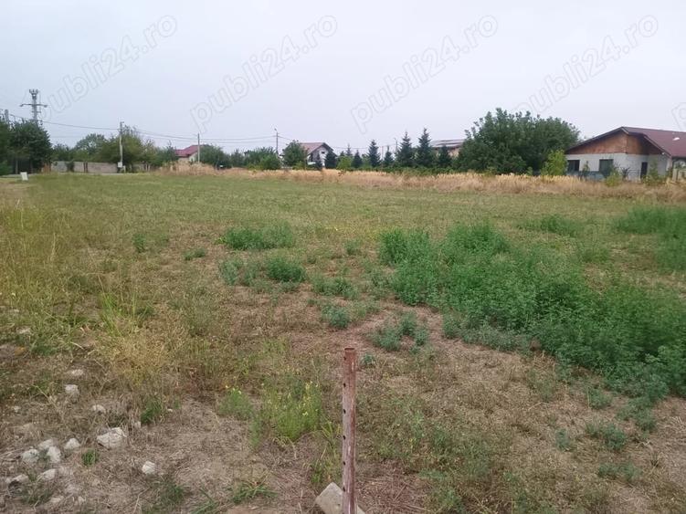 Teren de 600 mp, în Chiajna