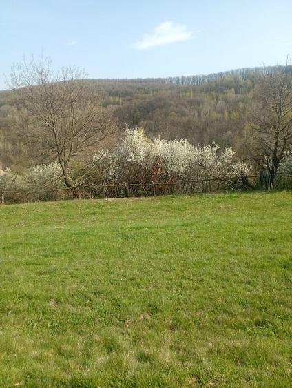 Teren Construcții intravilan de 1000 mp, în Meteș