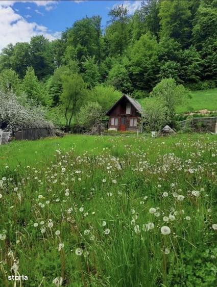 Teren intravilan 800 mp Darste Brasov - 8
