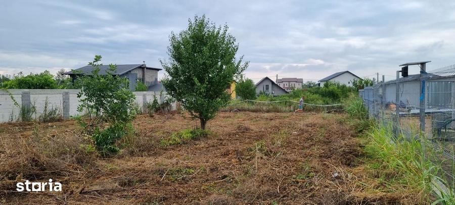 Teren intravilan de vanzare Dumbraveni 793 mp, acces drum - 3