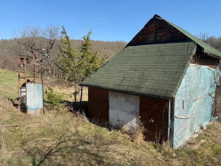 Casă cu 3 camere cu Teren 8000 Mp în Dumbrăvița