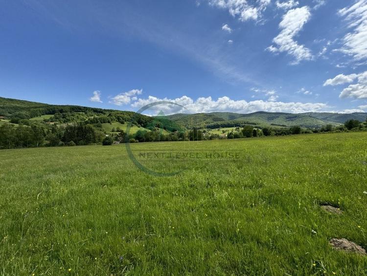 Teren Construcții intravilan de 34602 mp, în Valea Dobârlăului