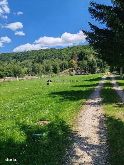 Teren Rasnov Glajarie 2000Mp Intravilan - 3