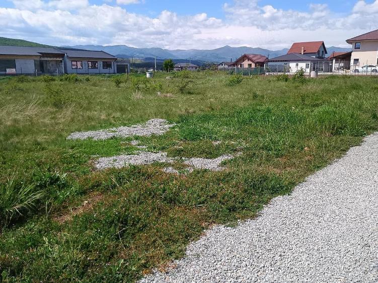 Teren de 437 mp, în Micești
