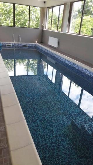 Casă individuală cu 5 camere cu Piscina în Snagov