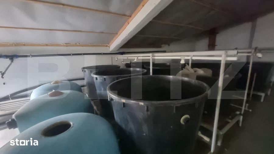 Casă cu 8 camere cu Teren 28000 Mp în Ceptura