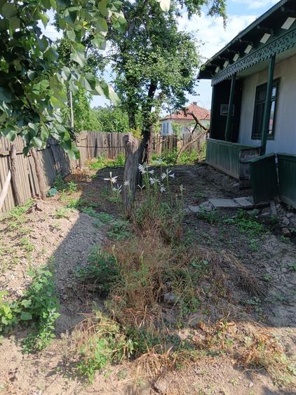 Casă cu 4 camere în Vărsătura