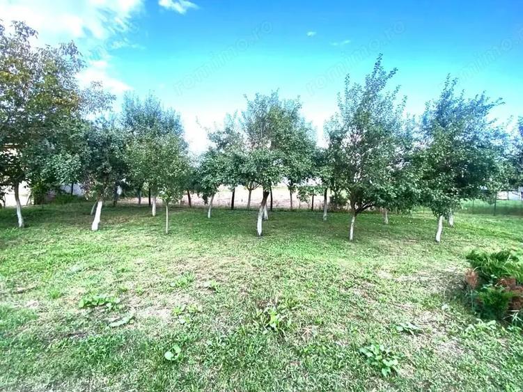 Teren de 4332 mp, în Boldur
