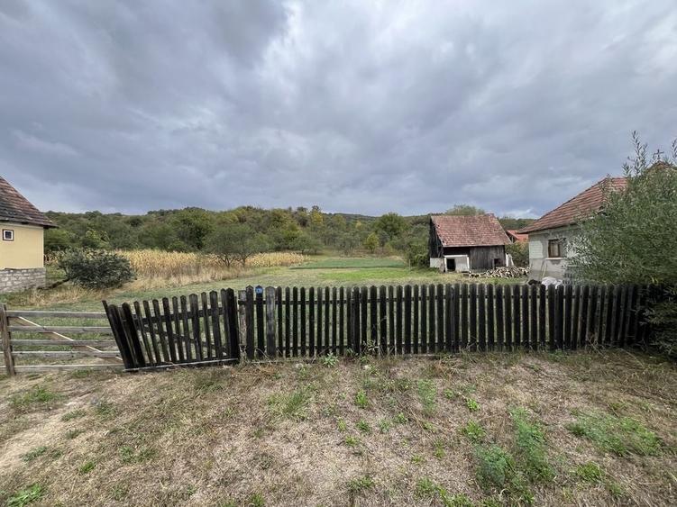 Teren de 1602 mp, în Petrindu