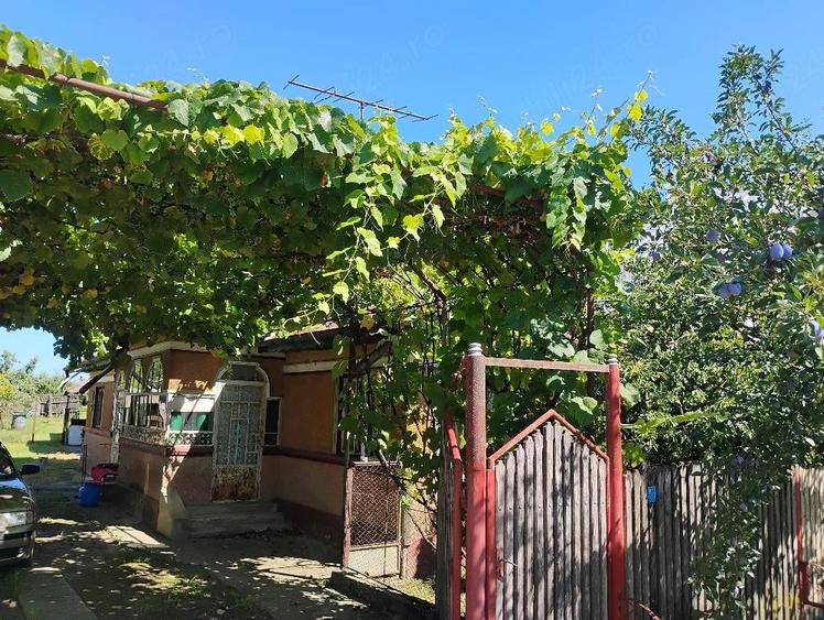 Casă cu Teren 2400 Mp în Bilciurești