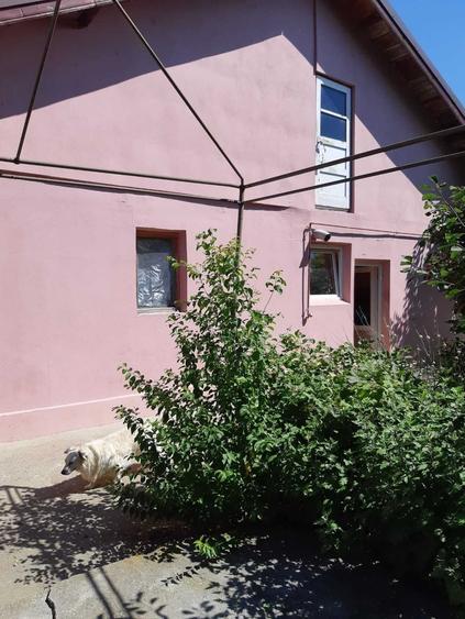 Inchiriez casa curte Peris Ilfov - 1