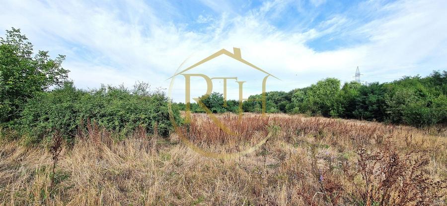 Teren agricol extravilan de 11273 mp, în Plopi