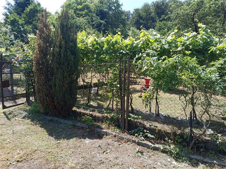 Casă individuală cu 12 camere cu Canalizare în Central