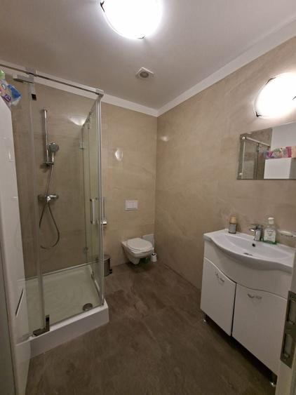 Birou, de 160.19000244141 mp, în Elisabetin