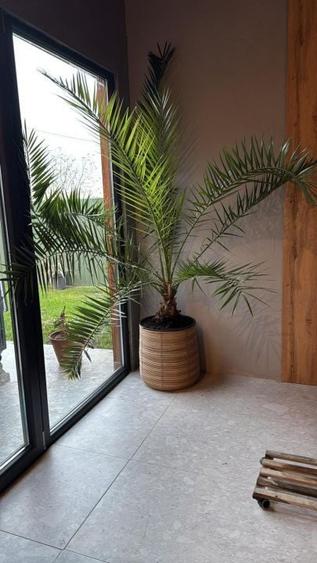 Spatiu comercial versatil | Comuna Berceni | 151 Utili + Curte - 20