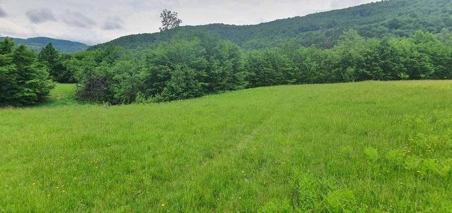 Teren de 11724 mp, în Negreni