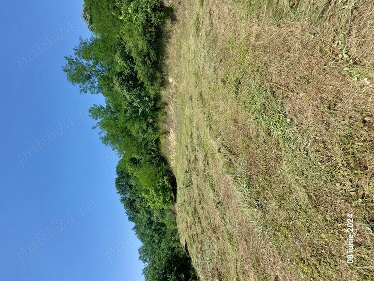 Teren de 1500 mp, în Marginea