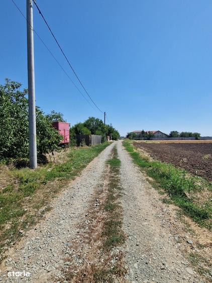 Teren de 1500 mp, în Fundulea