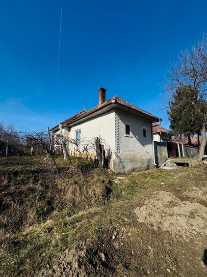 Casă cu 3 camere în Panticeu