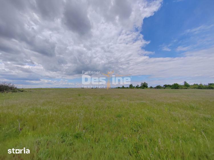 Teren de 114000 mp, în Ariceștii Rahtivani