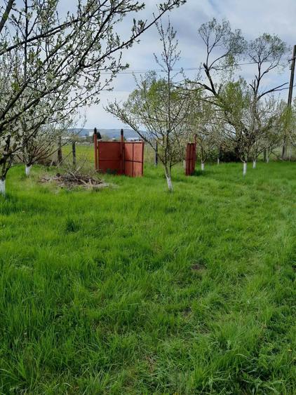 Teren agricol extravilan de 3900 mp, în Lunca Oltului