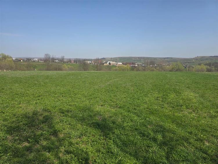 Teren agricol intravilan de 15000 mp, în Ilișești