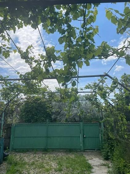 Casă cu 3 camere cu Teren 1200 Mp în Lucieni