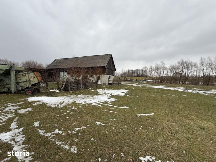 Teren de 3600 mp, în Horodnic