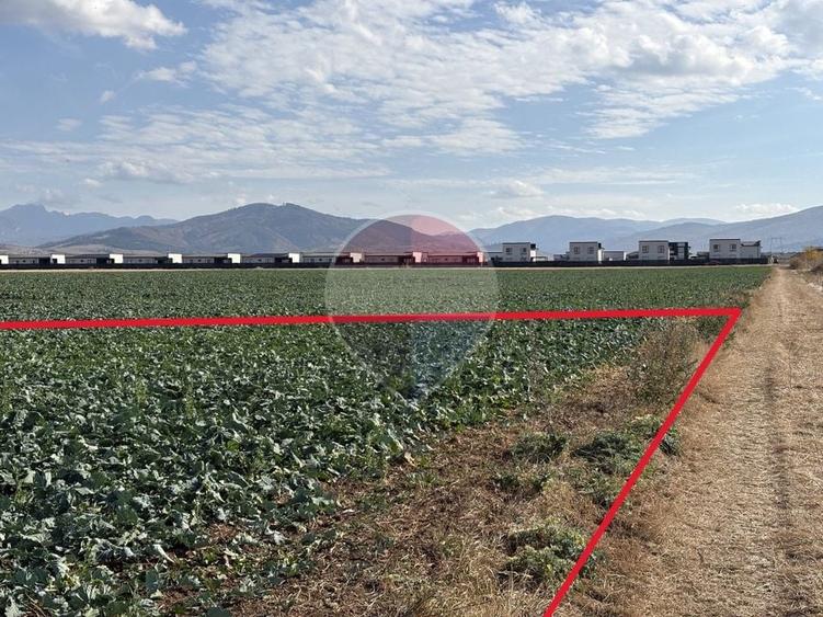 Teren agricol intravilan de 52410 mp, în Tărlungeni