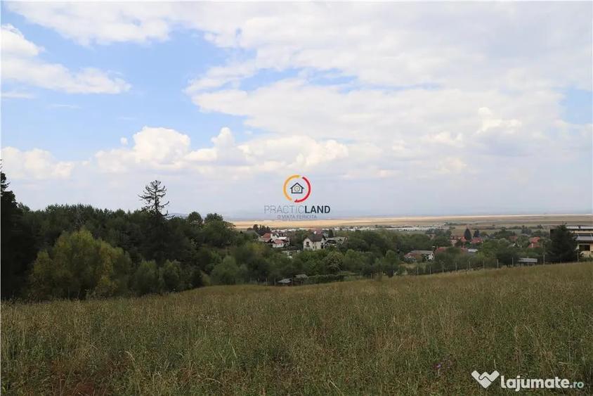 Teren de 1195 mp, în Poiana Angelescu