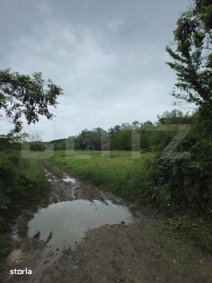 Teren de 3355 mp, în Răzvad