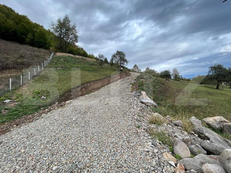 Teren Construcții intravilan de 12000 mp, în Nord-Vest