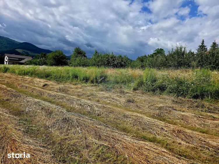Teren de 600 mp, în Alexandru cel Bun