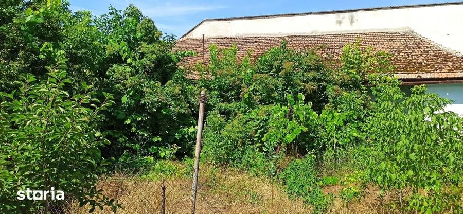 casa de demolat cu 942 mp teren in centrul comunei Periam - 6