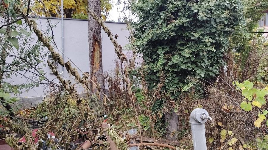 Teren în Drumul Găzarului