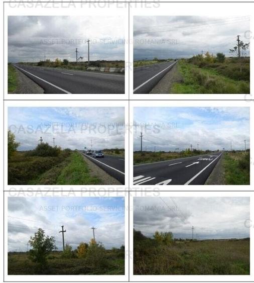 Teren Construcții intravilan de 11663 mp, în Lugojului