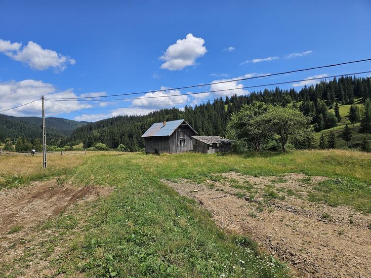 Teren de vanzare extravilan in Bucovina zona Breaza - 5